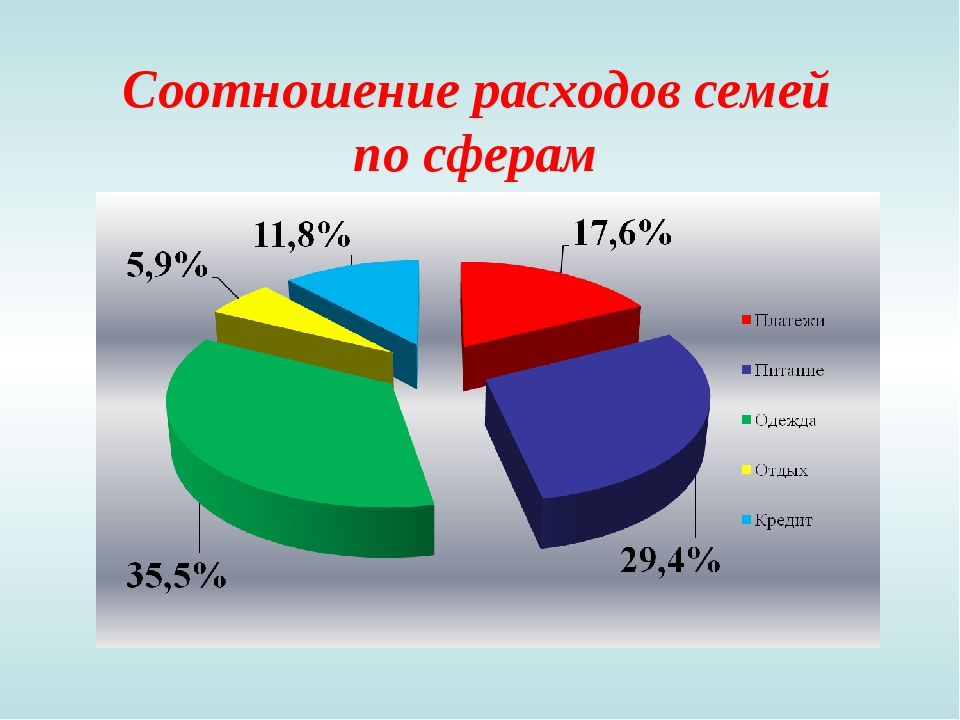 Как контролировать семейные расходы и зачем это делать презентация 8 класс