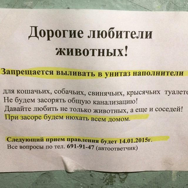 Трогательные, креативные и смешные объявления из "наших" подъездов!