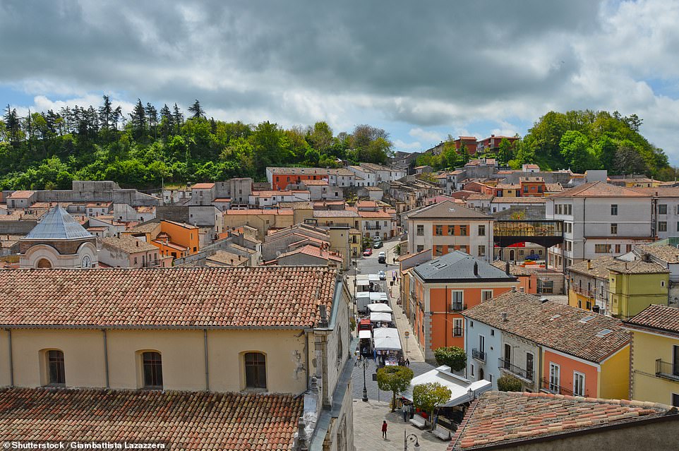 The dilapidated homes are located in a town which has seen a population decline but it is hope more will now move into the area