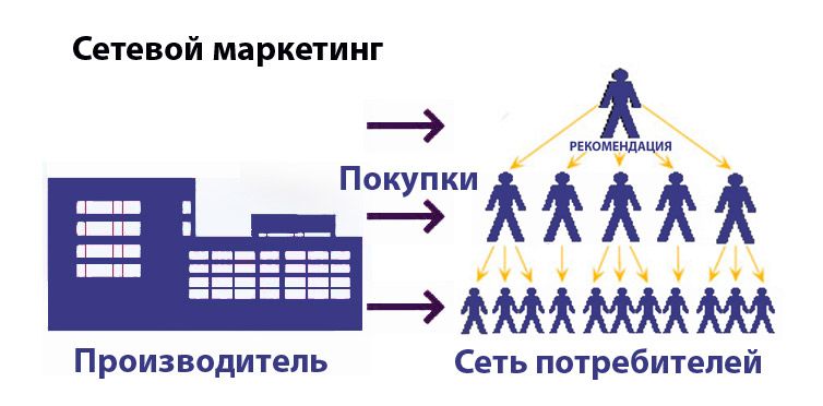 сетевой маркетинг