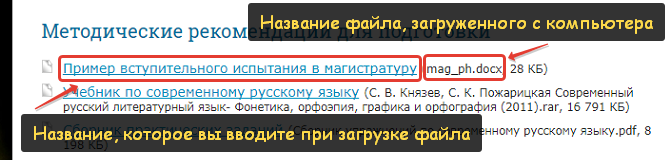 При загрузке файлов с помощью блоков страницы на сайте отображаются название файла, подпись, формат и размер