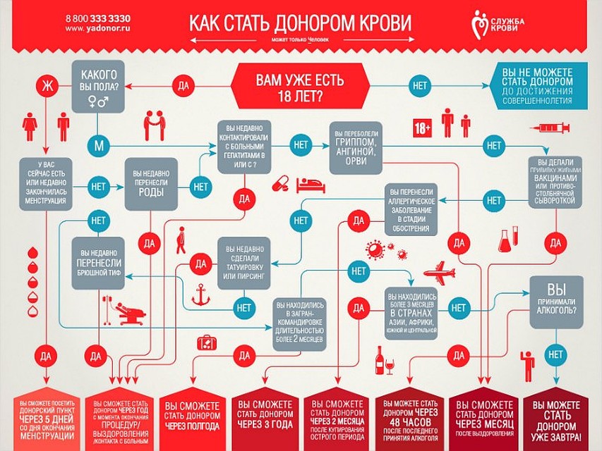 Как стать донором крови 