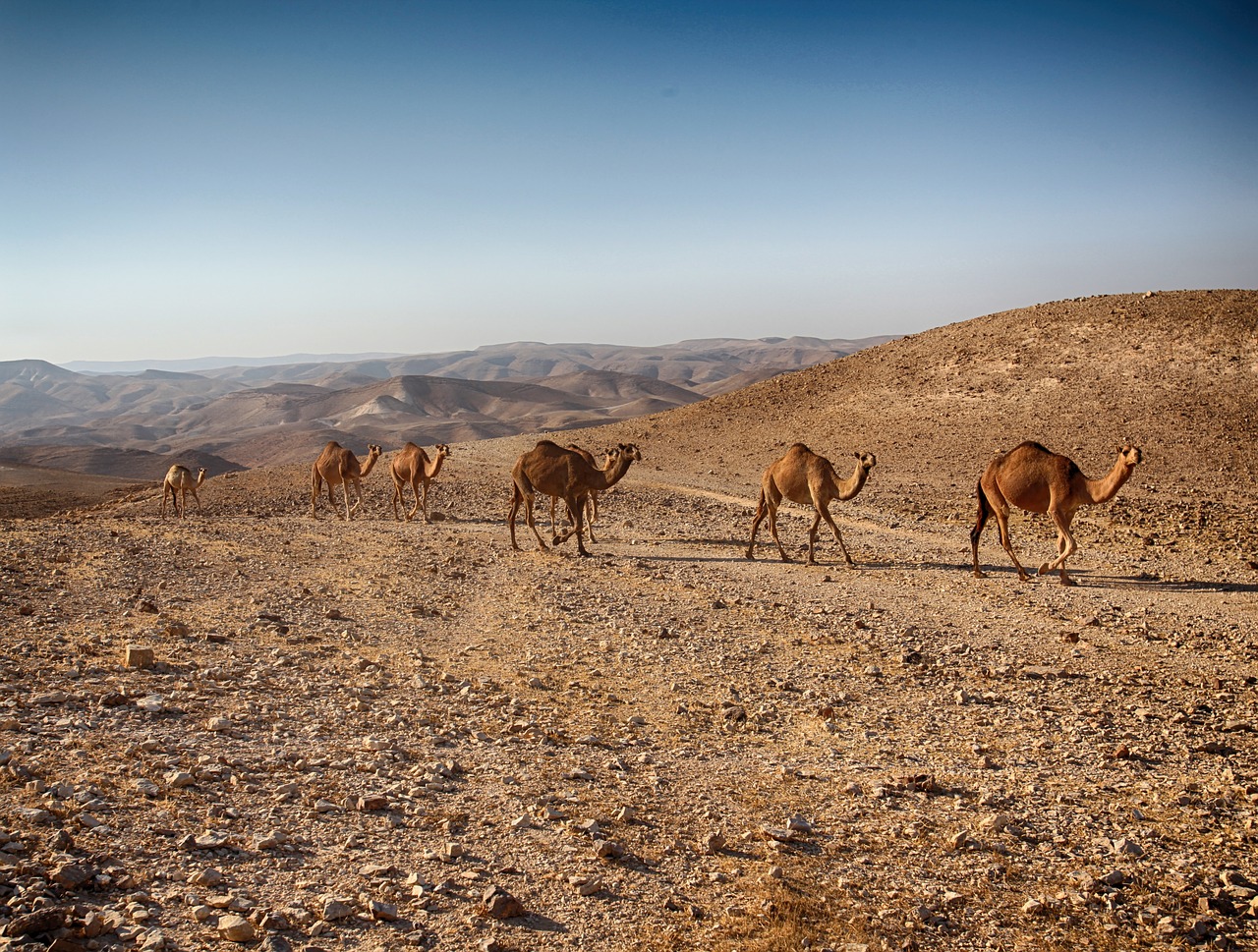 dead-sea