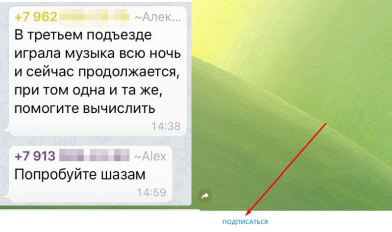 Как зарабатывать в Telegram