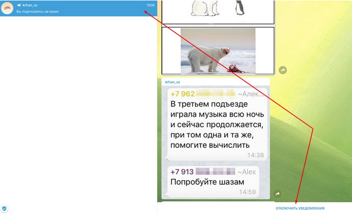 Как зарабатывать в Telegram