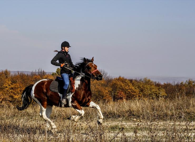 если вы не боитесь травм, выбирайте конный спорт